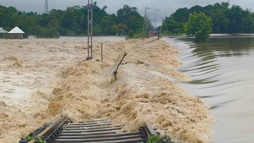 Assam Floods: Death Toll Reaches 78 as Over 21,000 Hectares of Crops Suffer Damage