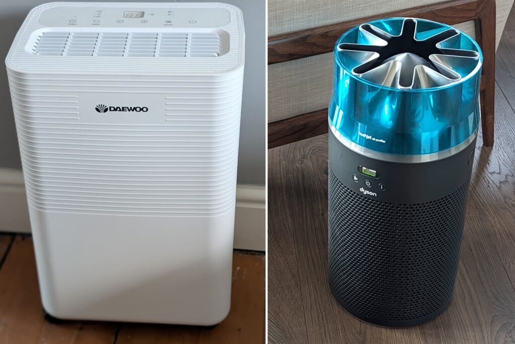 Air Purifier vs. Dehumidifier: Which One Do You Need for Mould, Dust Mites, and Musty Smells?