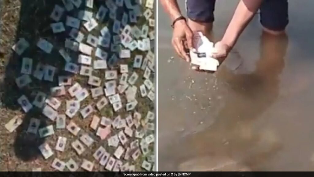 Over 340 Voter ID Cards Recovered Along Narmada Riverbank in Madhya Pradesh